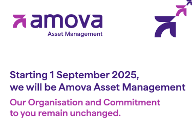 250430_amova_banner_nocta_mobile.png